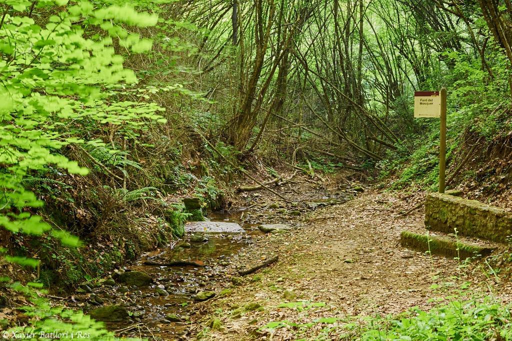 Apartamentos Fonda Finet Sant Felíu de Pallarols المظهر الخارجي الصورة