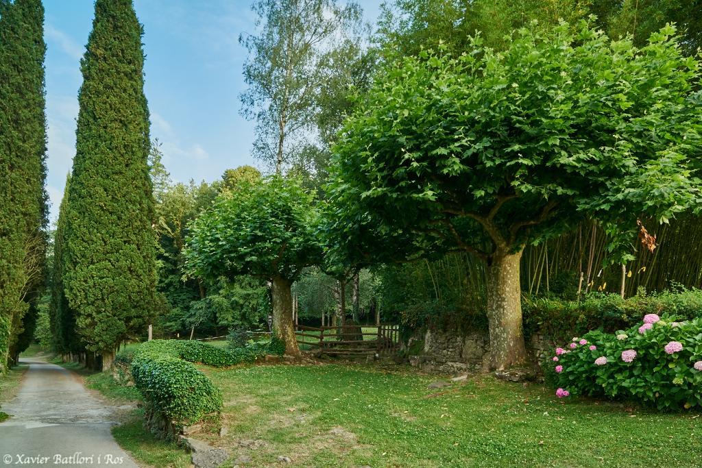 Apartamentos Fonda Finet Sant Felíu de Pallarols المظهر الخارجي الصورة